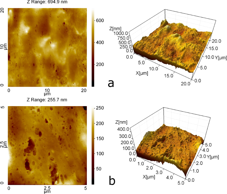 Journal of surface investigation. AFM 3d.