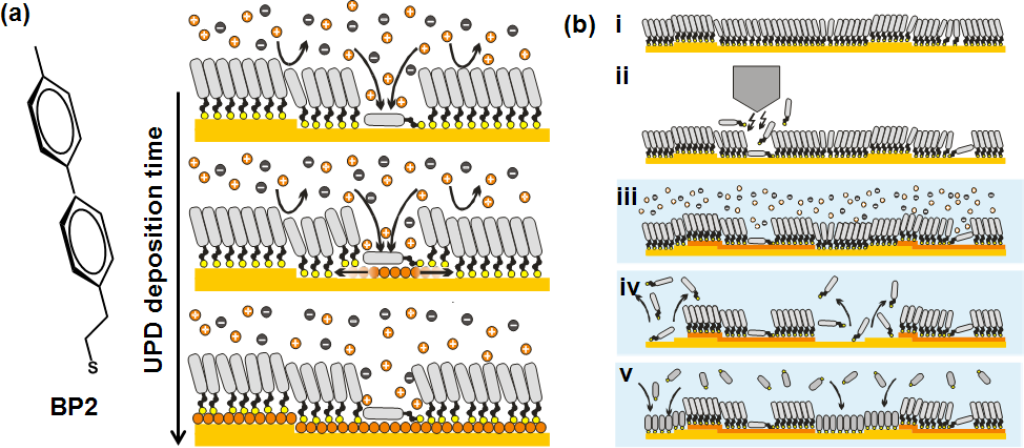 BJNANO - Nanoscale patterning of a self-assembled monolayer by ...