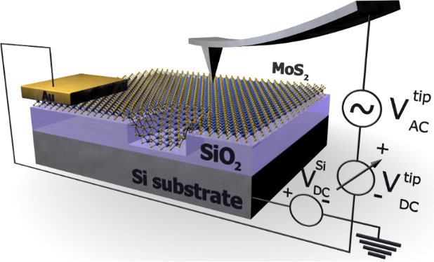 BJNANO - Effect of contaminations and surface preparation on the work ...