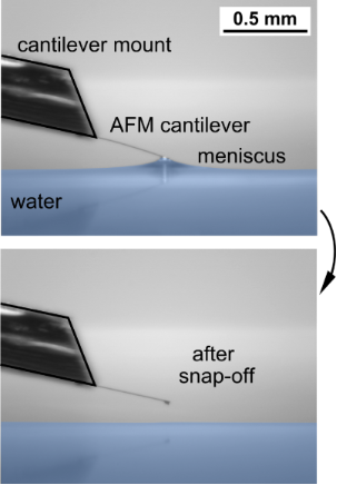 adhesion of water meniscus