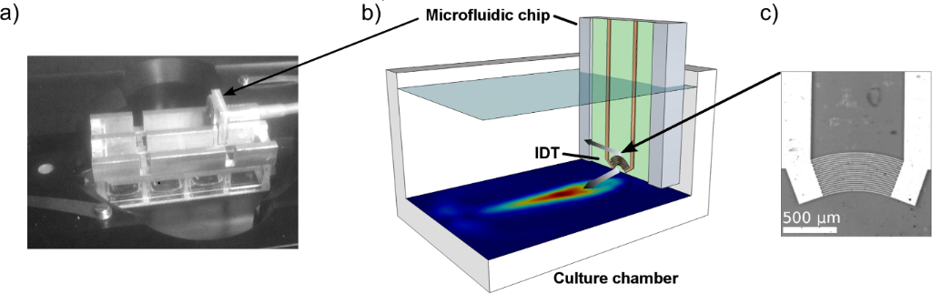 BJNANO - A surface acoustic wave-driven micropump for particle uptake ...