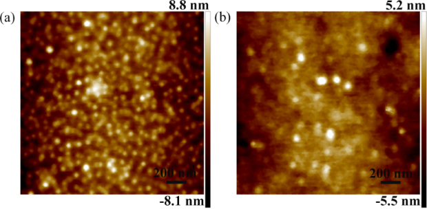 [2190-4286-8-227-10]