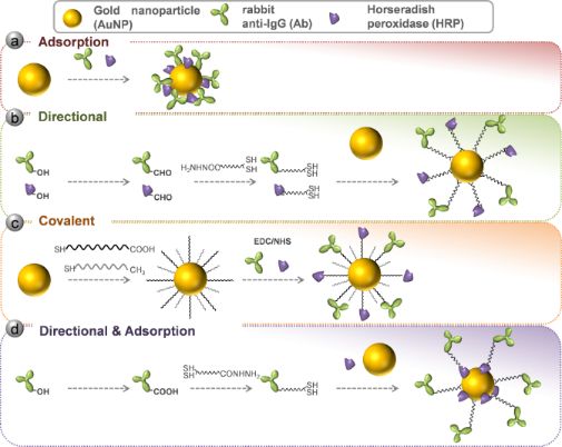 BJNANO - Comparison Of Four Functionalization Methods Of Gold ...