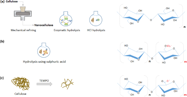 BJNANO - Nanocellulose: Recent Advances And Its Prospects In ...