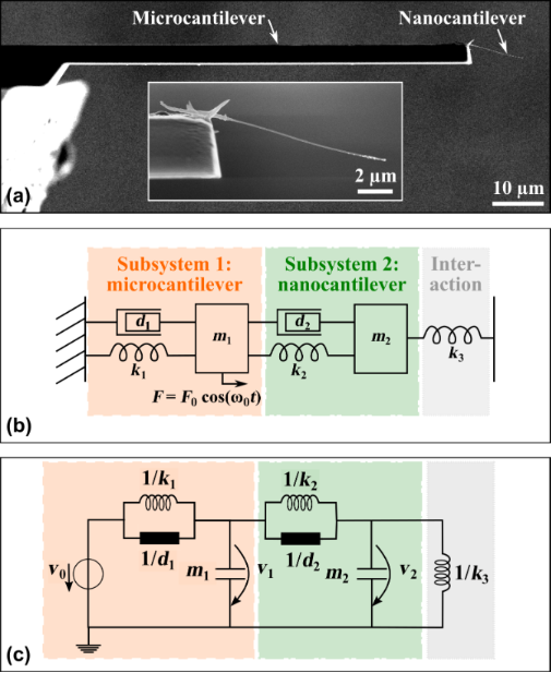 BJNANO - BJNANO - Advanced Atomic Force Microscopy II