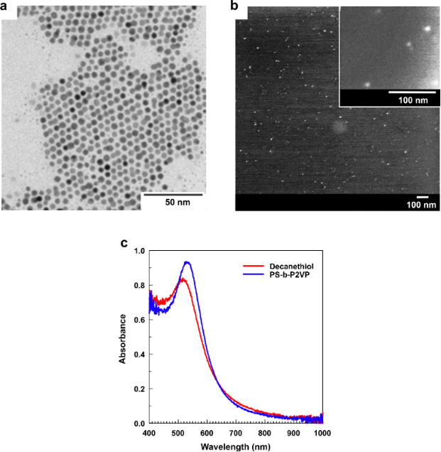 BJNANO - Facile Phase Transfer Of Gold Nanorods And Nanospheres ...