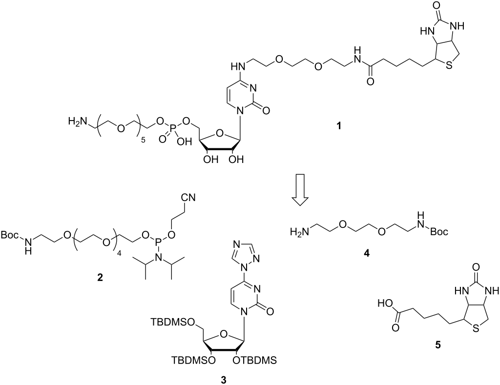 [1860-5397-10-198-1]