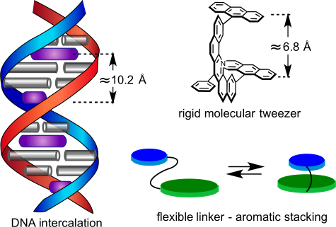 Molecular Tweezers: Supramolecular Hosts with Broad-Spectrum
