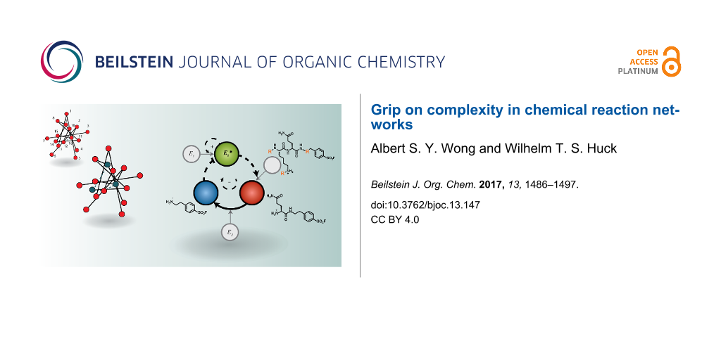 Bjoc Grip On Complexity In Chemical Reaction Networks
