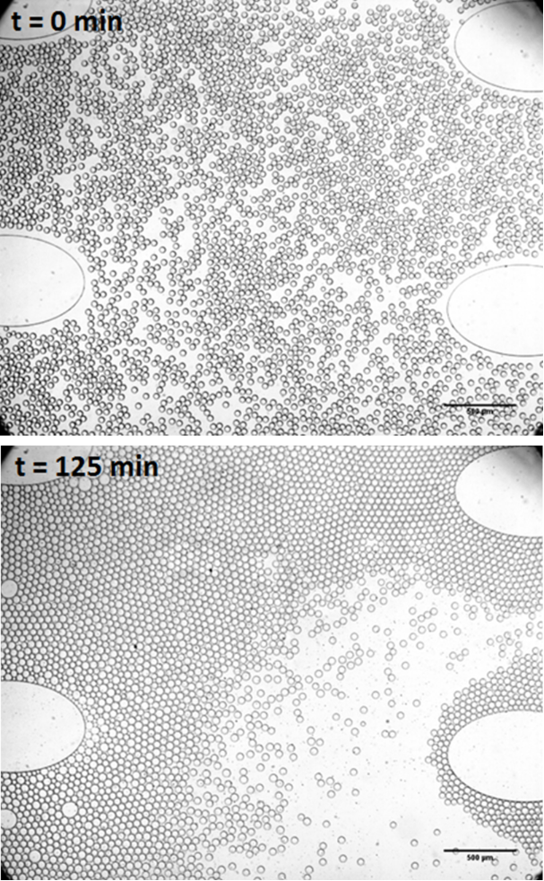 [1860-5397-13-164-4]