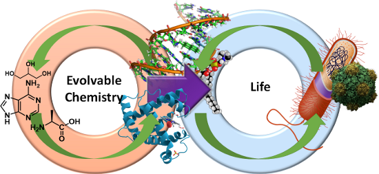 BJOC - A Recursive Microfluidic Platform To Explore The Emergence Of ...