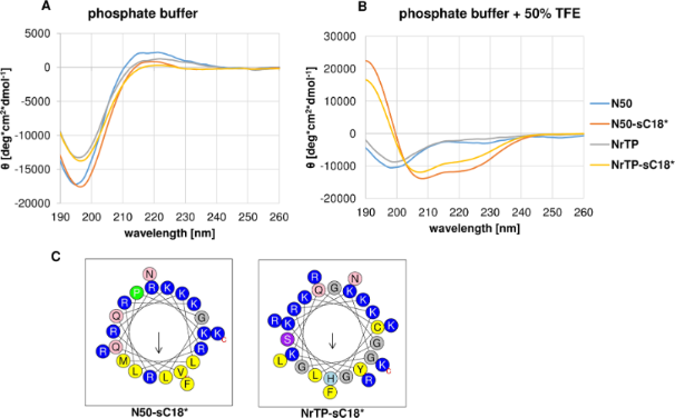 BJOC - Design And Biological Characterization Of Novel Cell-penetrating ...