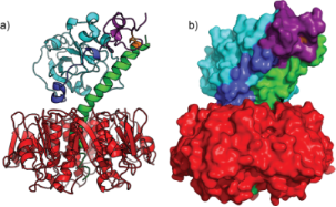 BJOC - Carbohydrate Inhibitors Of Cholera Toxin