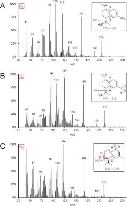 BJOC - Terpenes