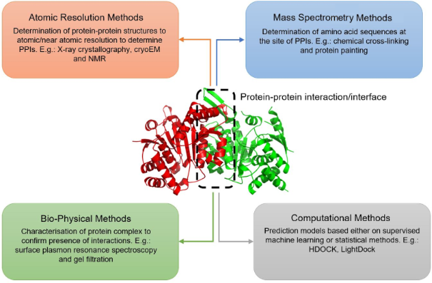 BJOC - Molecular Basis For Protein–protein Interactions