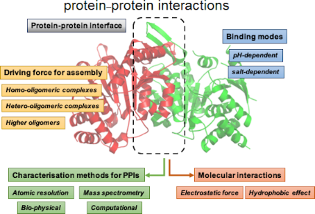 BJOC - Molecular Basis For Protein–protein Interactions