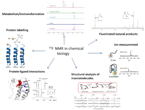 BJOC - 19F NMR As A Tool In Chemical Biology