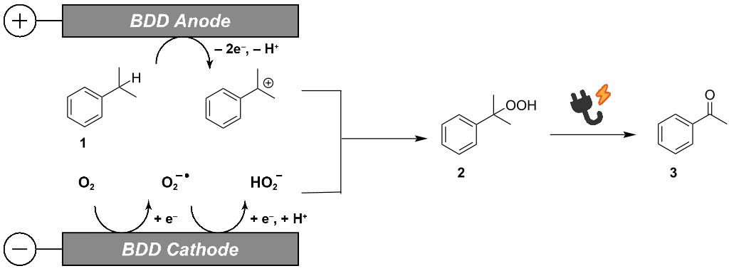 [1860-5397-18-119-2]
