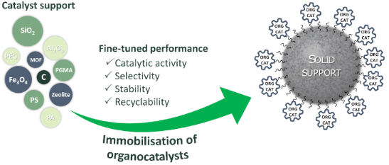 Graphical Abstract