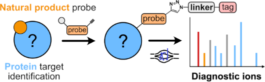 Graphical Abstract