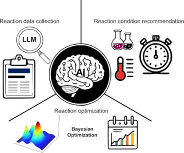 Graphical Abstract