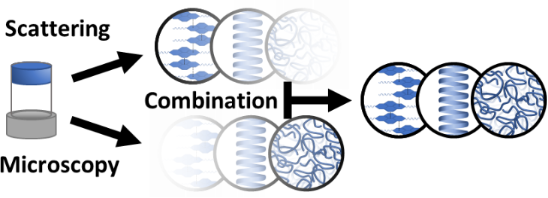 Graphical Abstract