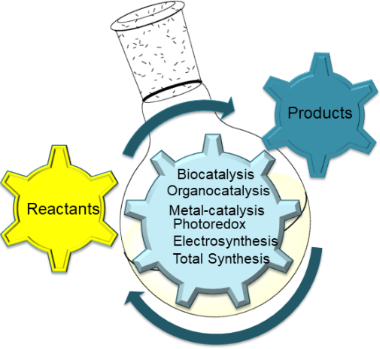 Graphical Abstract