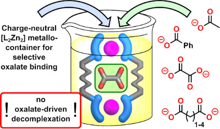 Graphical Abstract