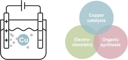 Graphical Abstract