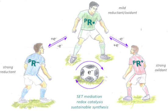 Graphical Abstract
