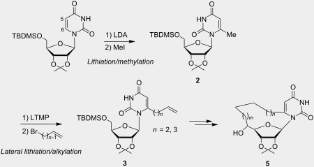 chemistry iii david ohagan all thematic series selectivity in