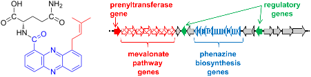 Graphical Abstract