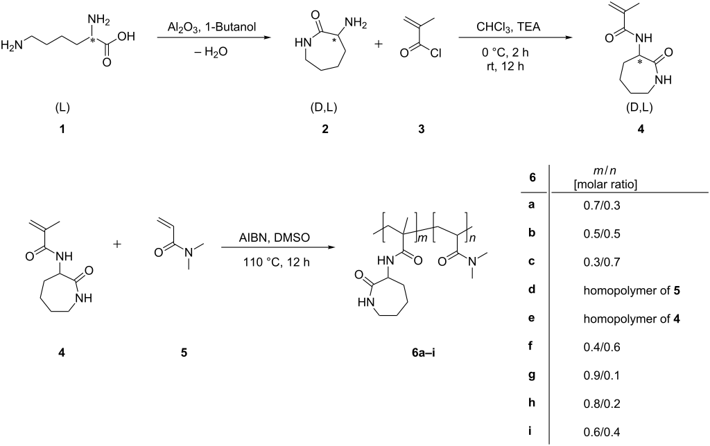 Influence of cyclodextrin on the UCST- and LCST-behavior of poly(2 ...