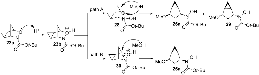 Acid-catalyzed ring-opening reactions of a cyclopropanated 3-aza-2 ...