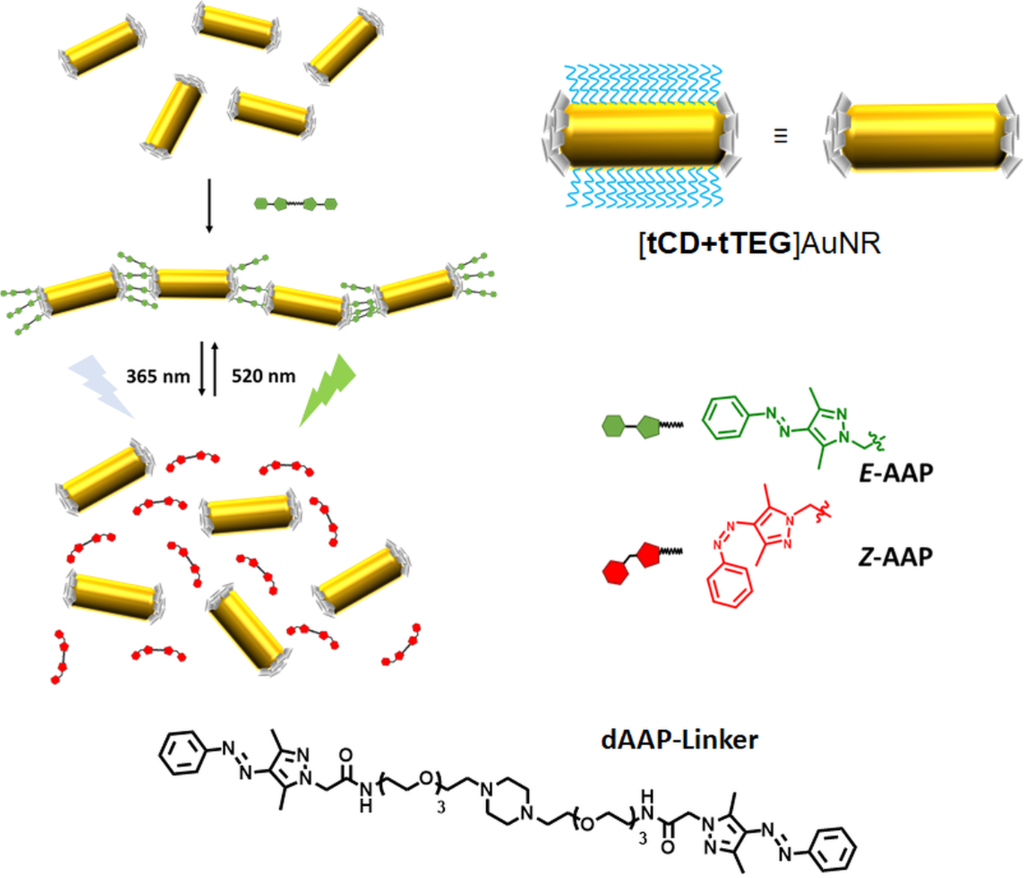 Bjoc Reversible End To End Assembly Of Selectively Functionalized Gold Nanorods By Light