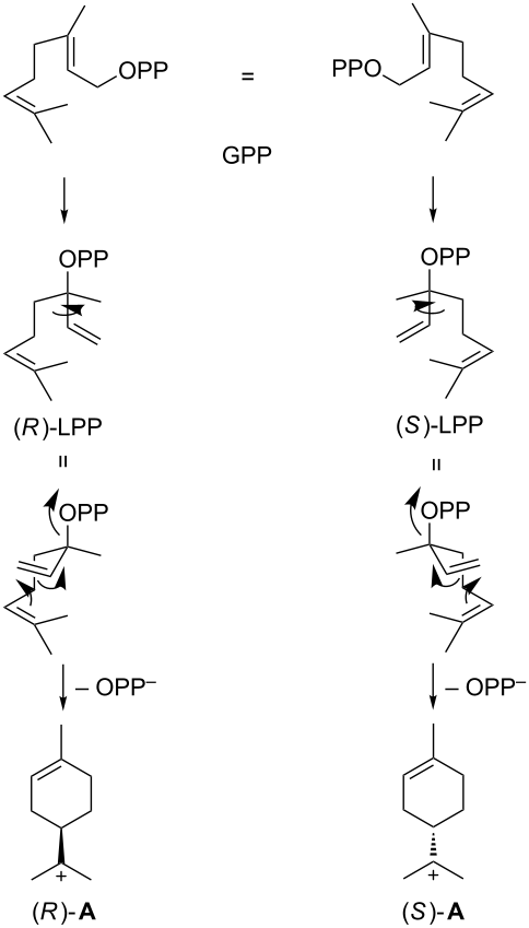 [1860-5397-15-99-i1]