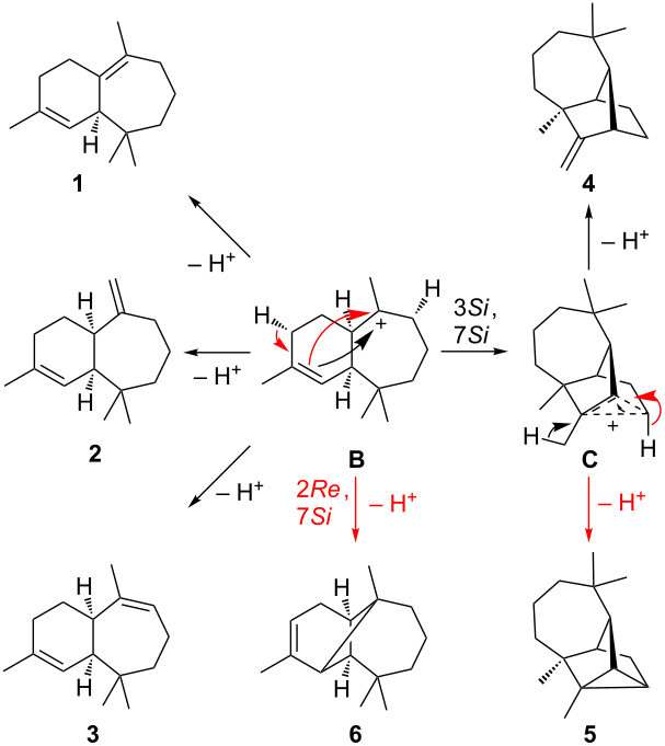 [1860-5397-15-99-i2]