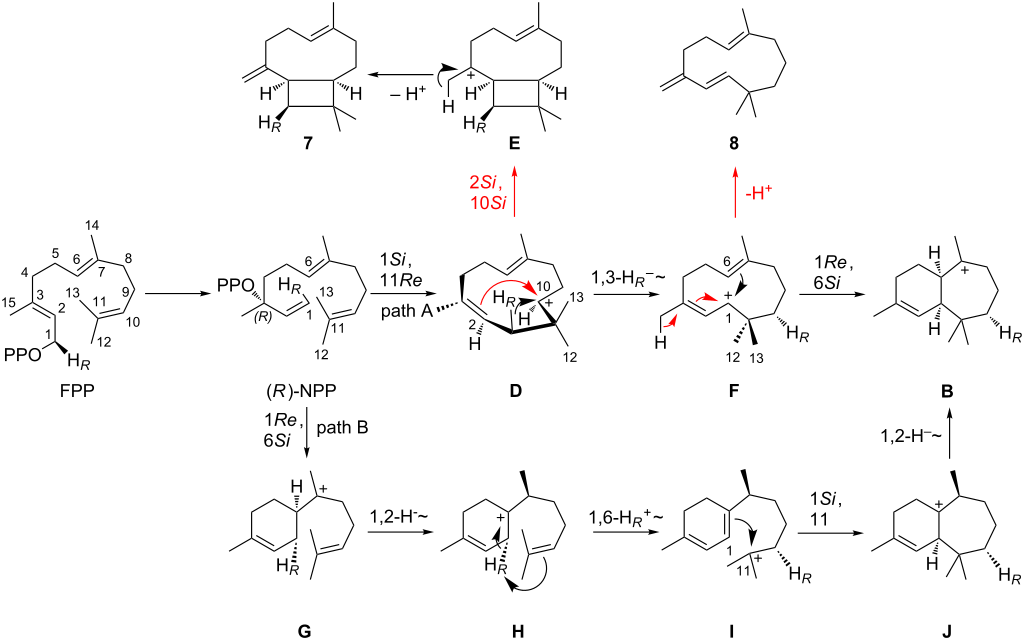 [1860-5397-15-99-i3]