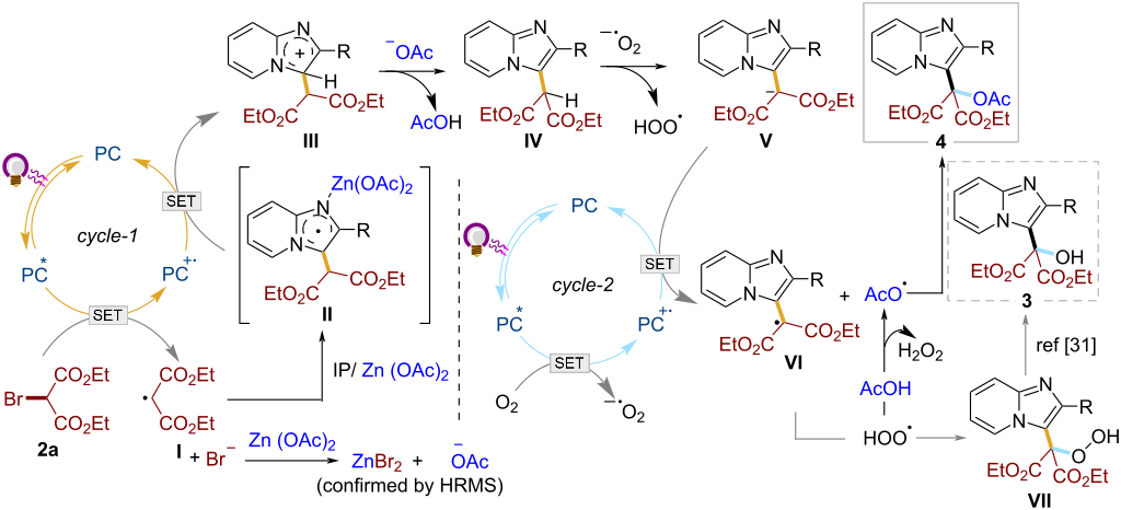 [1860-5397-19-48-i4]