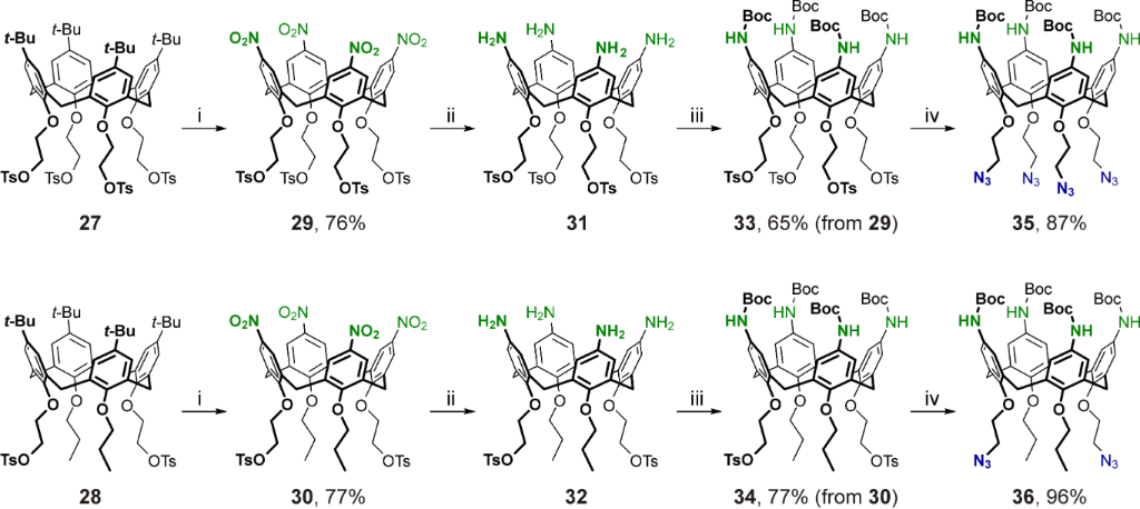 [1860-5397-22-28-i5]