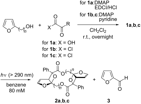 Formation of macrocyclic lactones in the Paternò–Büchi dimerization ...