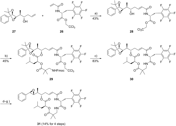 Total synthesis and biological evaluation of fluorinated cryptophycins