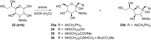 The Amadori Rearrangement As Glycoconjugation Method: Synthesis Of Non ...